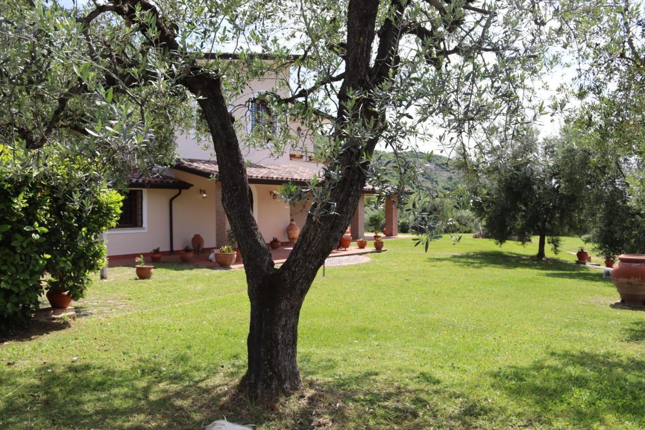 Agriturismo Il Bagolaro Villa Nerola Exterior photo