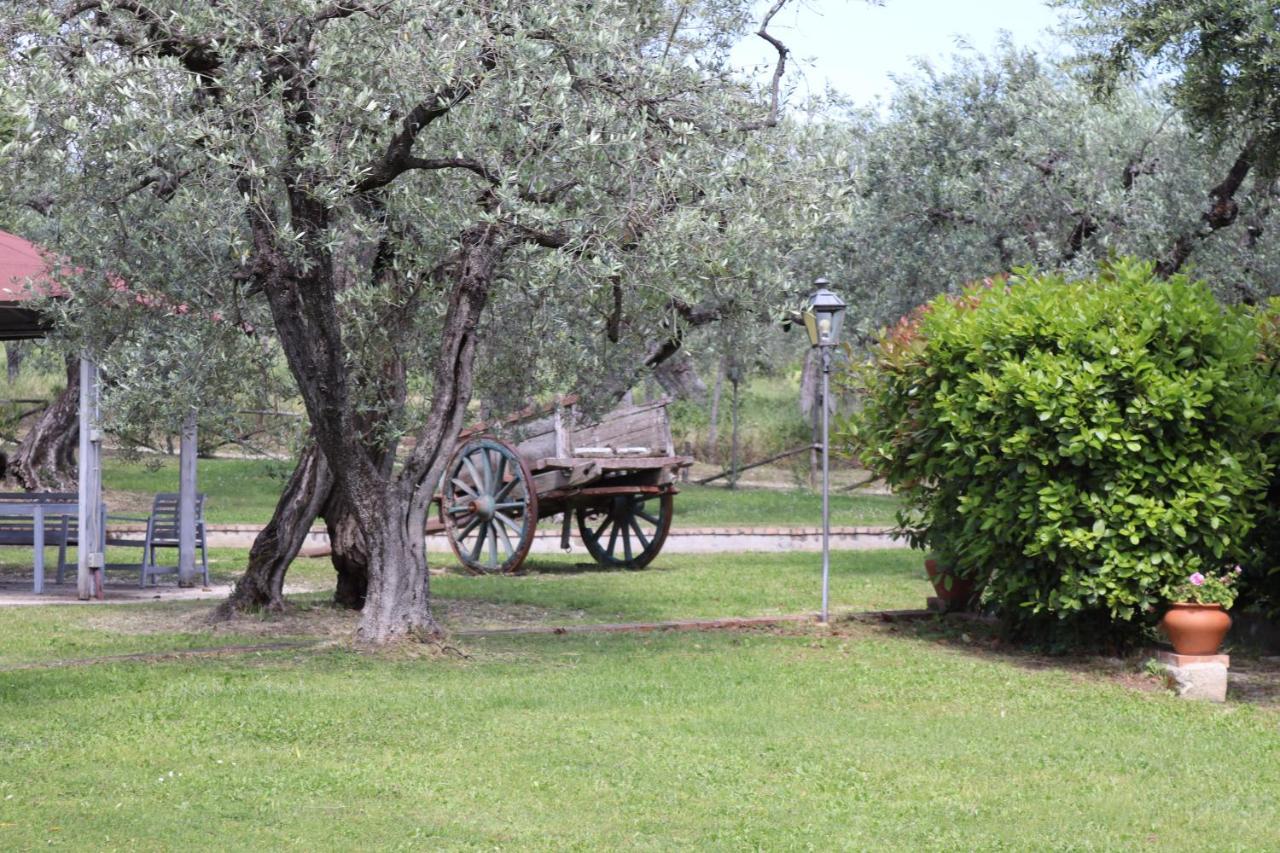 Agriturismo Il Bagolaro Villa Nerola Exterior photo