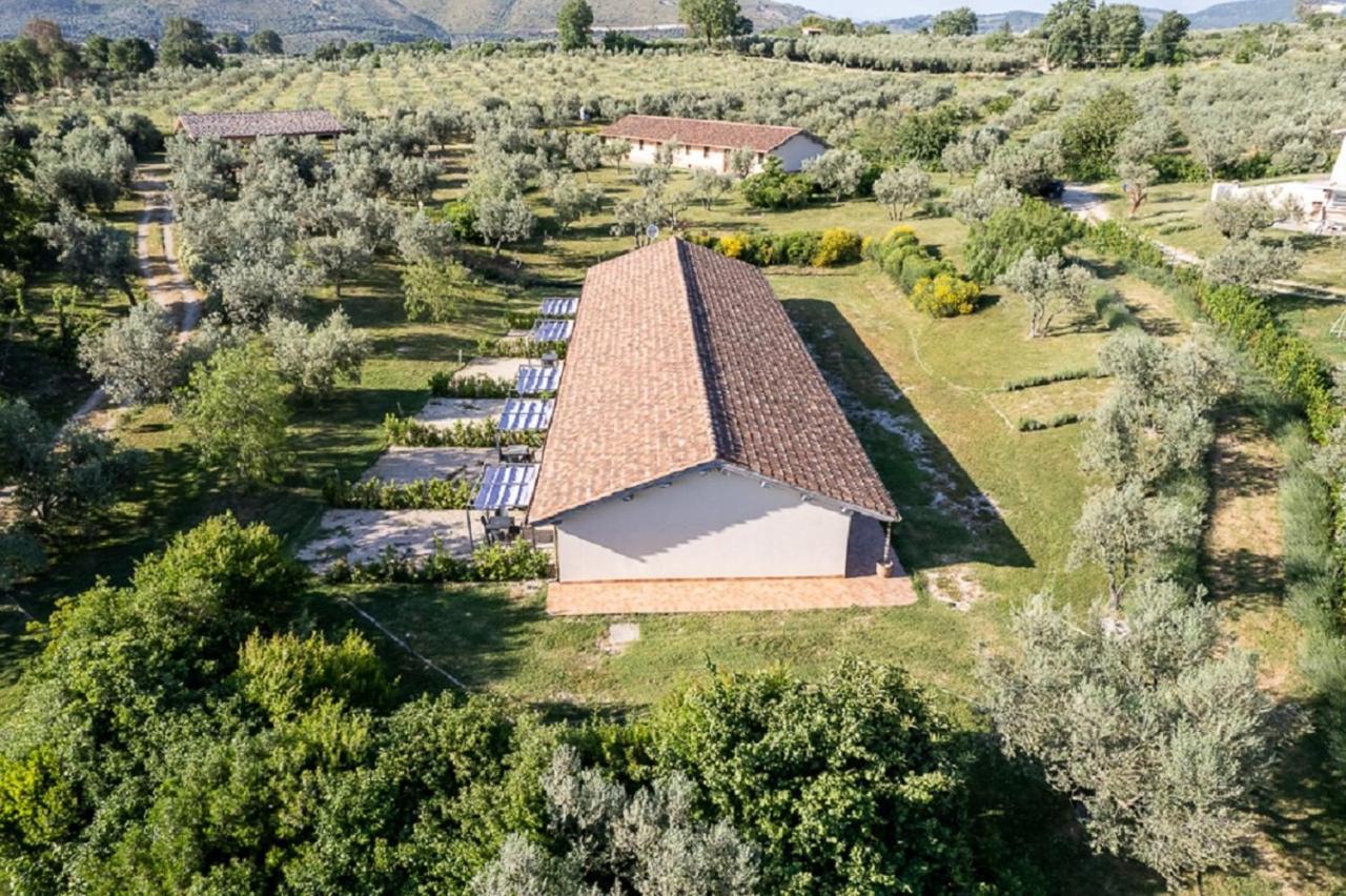 Agriturismo Il Bagolaro Villa Nerola Exterior photo