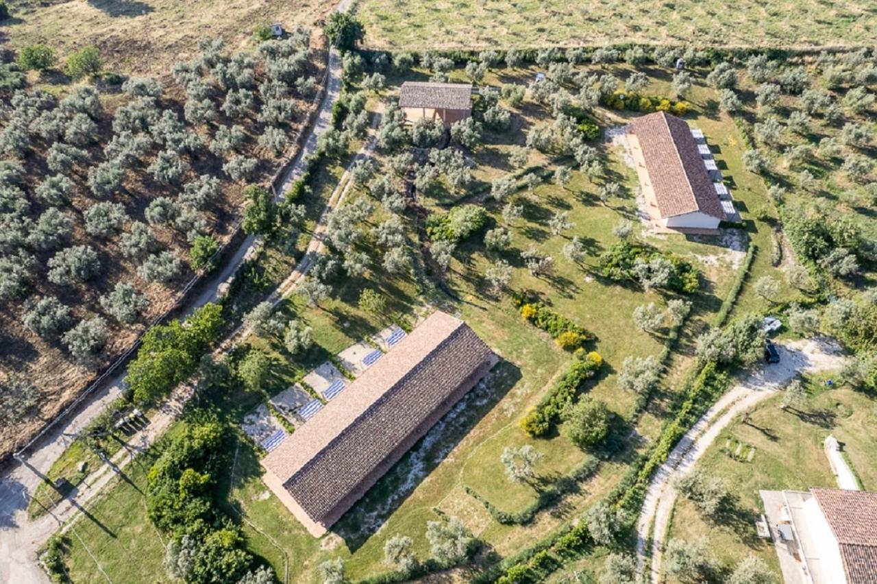 Agriturismo Il Bagolaro Villa Nerola Exterior photo